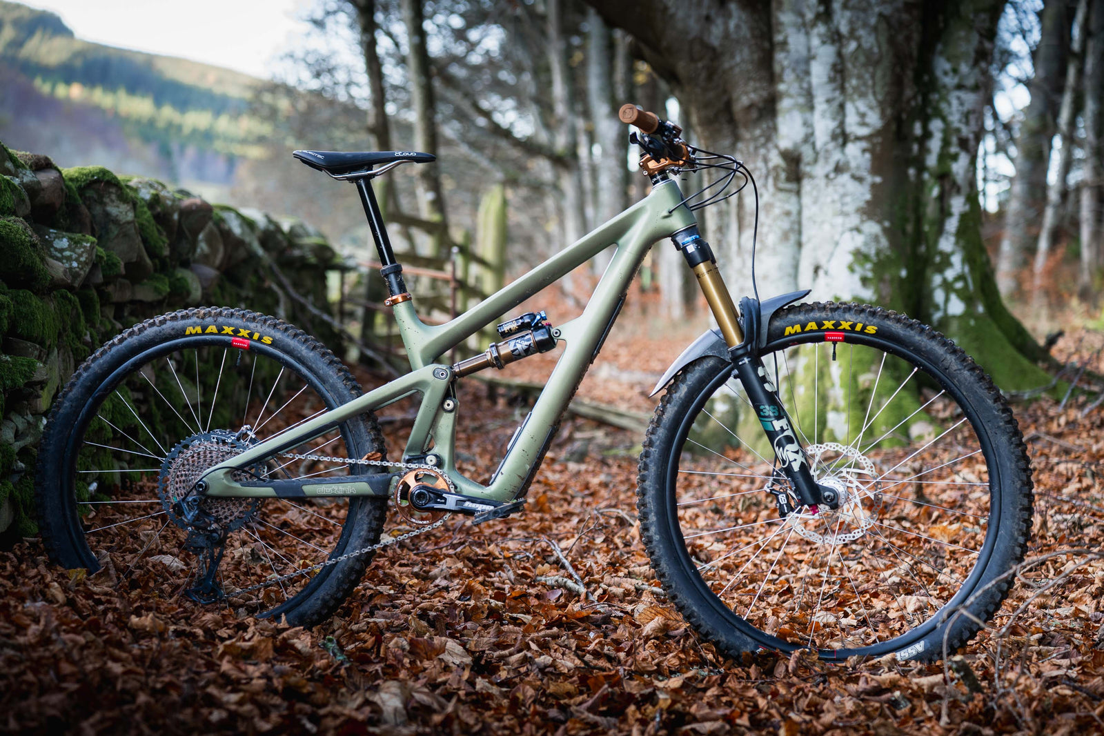 Neil's custom built Ibis Ripmo