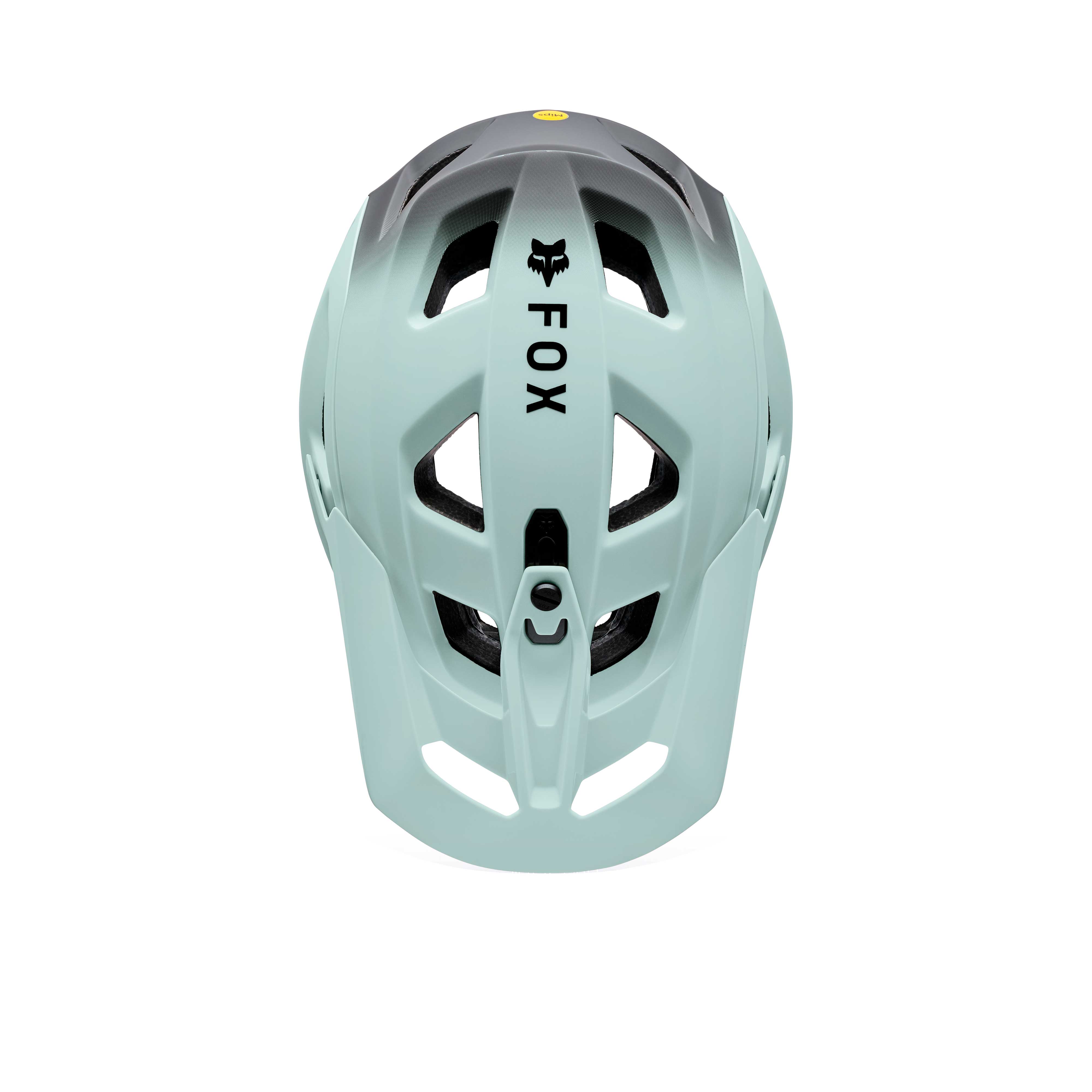 Fox Racing Speedframe Pro Backfade helmet in Frost