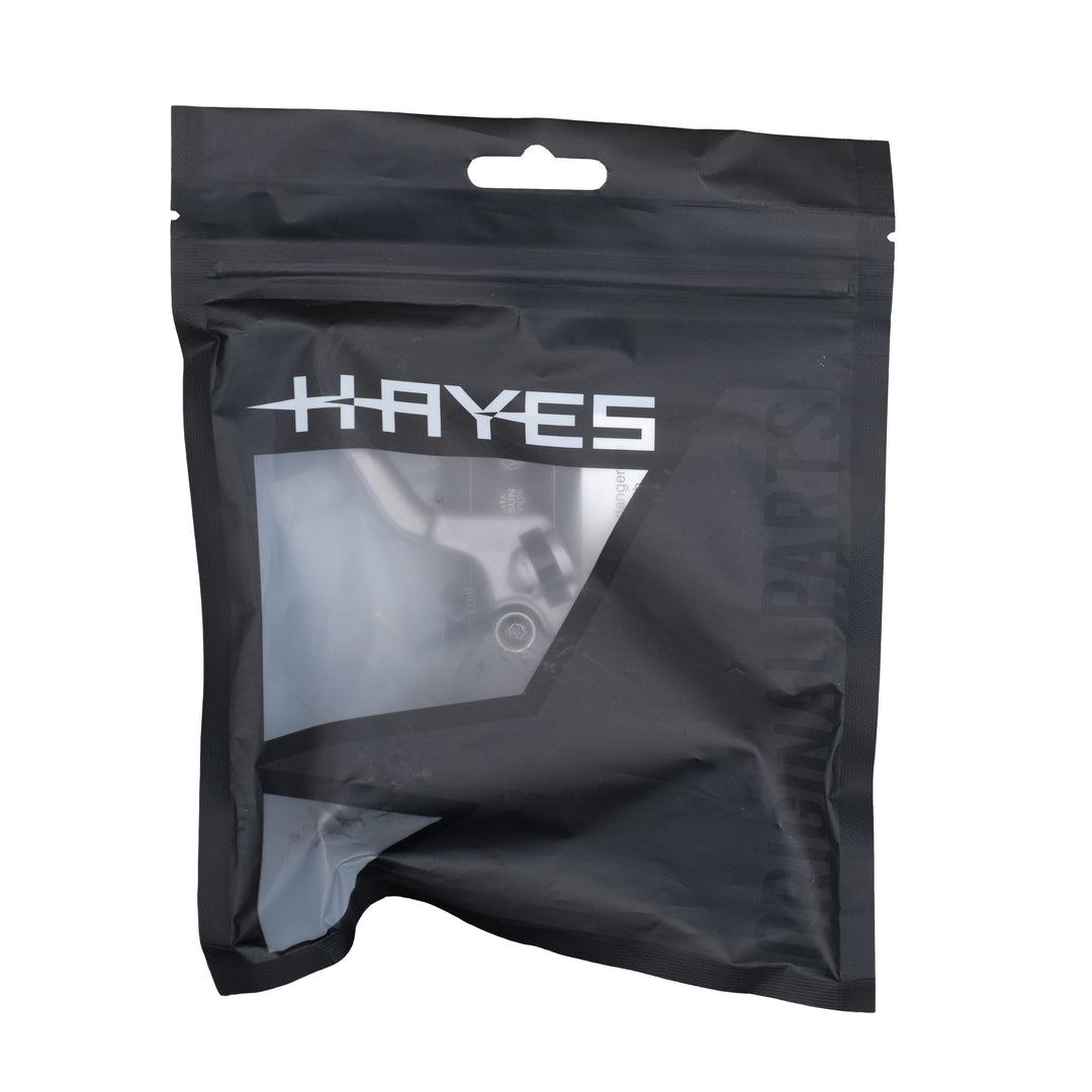 Hayes Dominion Master Cylinder + Lever at Tweed Valley Bikes