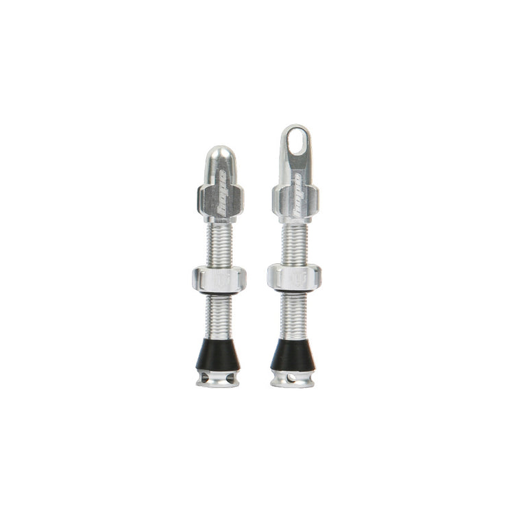 Hope Tubeless Valves in Silver at Tweed Valley Bikes