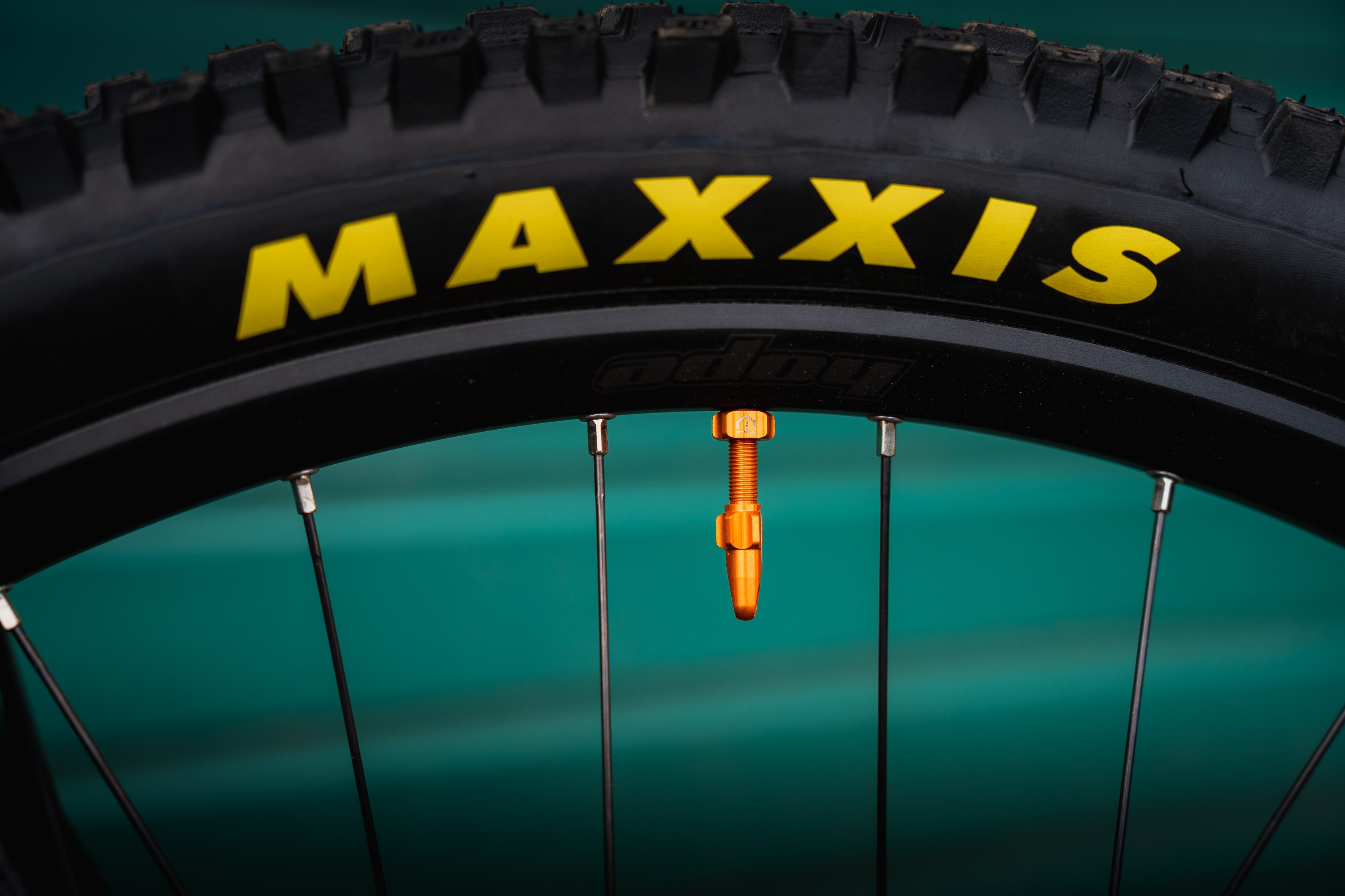 Hope Tubeless Valve in Orange