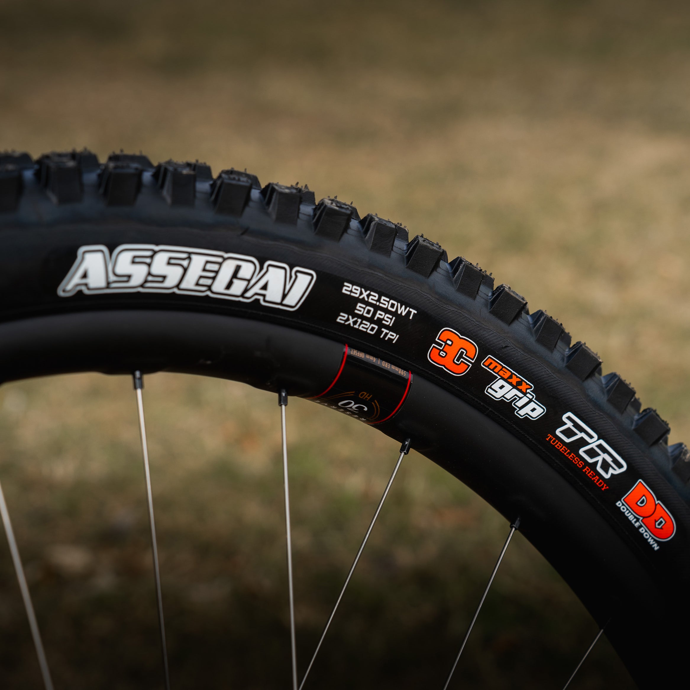 The Maxxis Assegai tire in Maxxgrip on a Reserve wheel