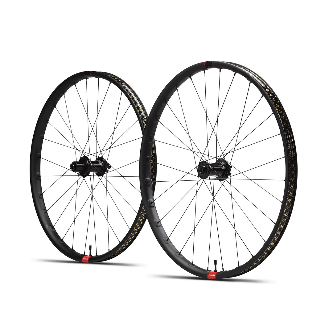 Reserve HD30 MX Wheelset on DT Swiss 350 hubs