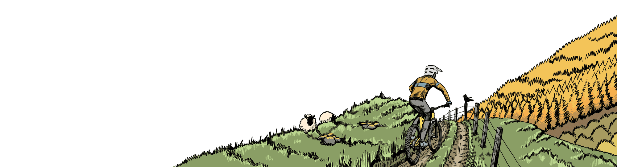 Tweed Valley Bikes website footer, illustration of a mountain biker riding in the Tweed Valley
