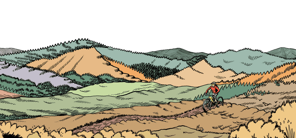 Tweed Valley Bikes website footer, illustration of a mountain biker riding in the Tweed Valley