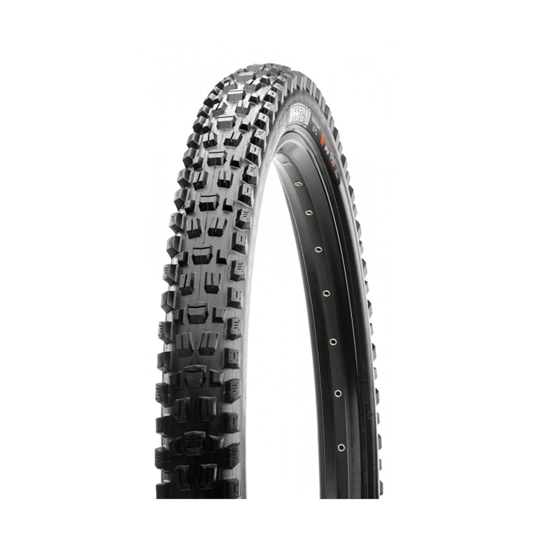 Maxxis Assegai 29" Tyre at Tweed Valley Bikes